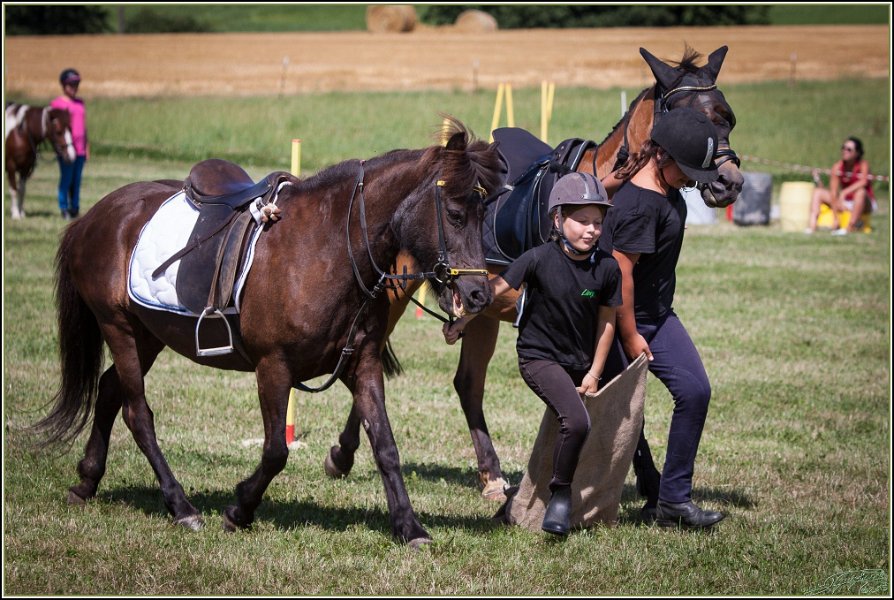 Mounted Games 256